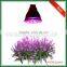Wholesale High Quality OEM Spectrum 36W Outdoor Plant Light