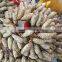 hot selling wedding decoration supplies in yiwu, portable backdrop