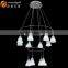 Modern LED Chips Lights Acrylic Pendant Chandelier Bottle Chandelier Lampardis OM88213-8W