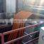 wooden color steel coil