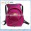 Drawstring backpack & Foldable backpack & packable travel backpack rose