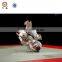 3.0cm Gym Mat  Judo Mat Taekwondo Mat