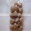 China manufacture environmental food grade vacuum bag vacuum sachet