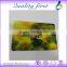ISO 15693 I CODE 2 Gift Cards