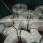 Galvanized steel coil / slitted steel coil a1