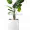 fiberglass beautiful water proof indoor decorative pot planter