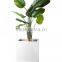 resin frp light weight nice popular pot planter