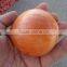 fresh Valencia Orange