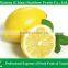 Citrus fruit lemon