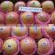 New crop Yantai fuji Apple