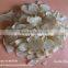 Popular Natural Garlic Flakes Without Root Best Price for Garlic