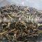 dried morel mushrooms for sale price of black morel mushroom magic mushrooms dried