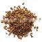 AJOWAN SEED 20% OIL