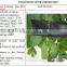 agricultural plastic labyrinth type drip irrigation tape irrigation system