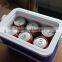 6L portable plastic cooler box vaccine box