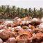 2017 New energy saving oil palm fibre dryer machine/coco fibre dryer for India and Paksitan Clients