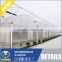 High-Quality Film Multi-Span Greenhouse, Arch-Type