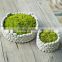 Creative design cement flower pots square concrete planters