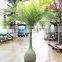 Artificial Mini palm trees and palm tree landscaping