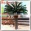 Hot Sale 40inch Artificial Sago Palms Artificial Cycas Palm Tree