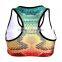 2015 Oeko Comfortable Quick Dry Breathable for women fitness wear Lady's Sports Bra S131-55