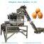 walnut shell grinder Nut Shelling Processing Line|Walnut Shelling Production Line