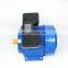 Light Weight Aluminum Body 0.5hp 2Poles Electric Motor Single Phase 50hz 220v