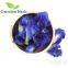 New food colorants natural (Clitoria ternatea L.) butterfly pea flower powder
