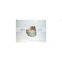 SCDC diesel engine spare parts 6CT conrod bush 4891178