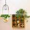 Modern creative glass plant hydroponics led pendant light for decorate