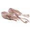 buy frozen squid head frozen illex squid head indian ocean squid tentacle