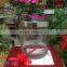 Home Decoration Colored Intermediate Bulk Glass Candle Holder 330ml