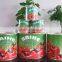 Canned Tomato Paste in Tin