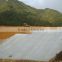 china good quality geomembrane for pool with best price