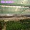 plastic sun shade net /china agricultureused net /agriculture shade net