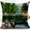 Wholesale 3D digital printed home decor cushion cover, pillow case