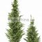 wholesale home garden artificial plants christmas tree in pot