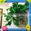 hot sell high transparent wall acrylic fish tank