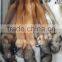 Real Silver Fur Skin / Natural Fox Fur Skin / Tanned Red Fox Fur Skin For Coat                        
                                                Quality Choice