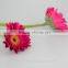 Professional export fresh rose roses flowers with 70-80cm long from Yunnan, China