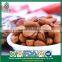 Constant Supply Clear Clean Agriculture Siberian Open Pine Nuts in Shell