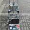 Wireless printing electronic crane scale