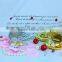 2016OEM newest productscolorful shell house wedding favor home decoration