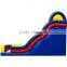 Giant wavy double lane inflatable water slide for adult Inflatable water slide