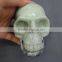 Natural Rock Crystal Skull Jadeite best home decoration good for our healthy