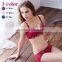 sexy undearwear teen fancy bra set