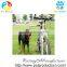 Newest Stretchable Dog Bicycle Leash for Bike Exerciser