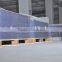 3D Lenticular Sheets for 3D Printing
