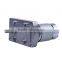 12V/24V TTM775 DC Micro geared motor