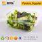 Rectangle Transparent take away plastic salad box with lid